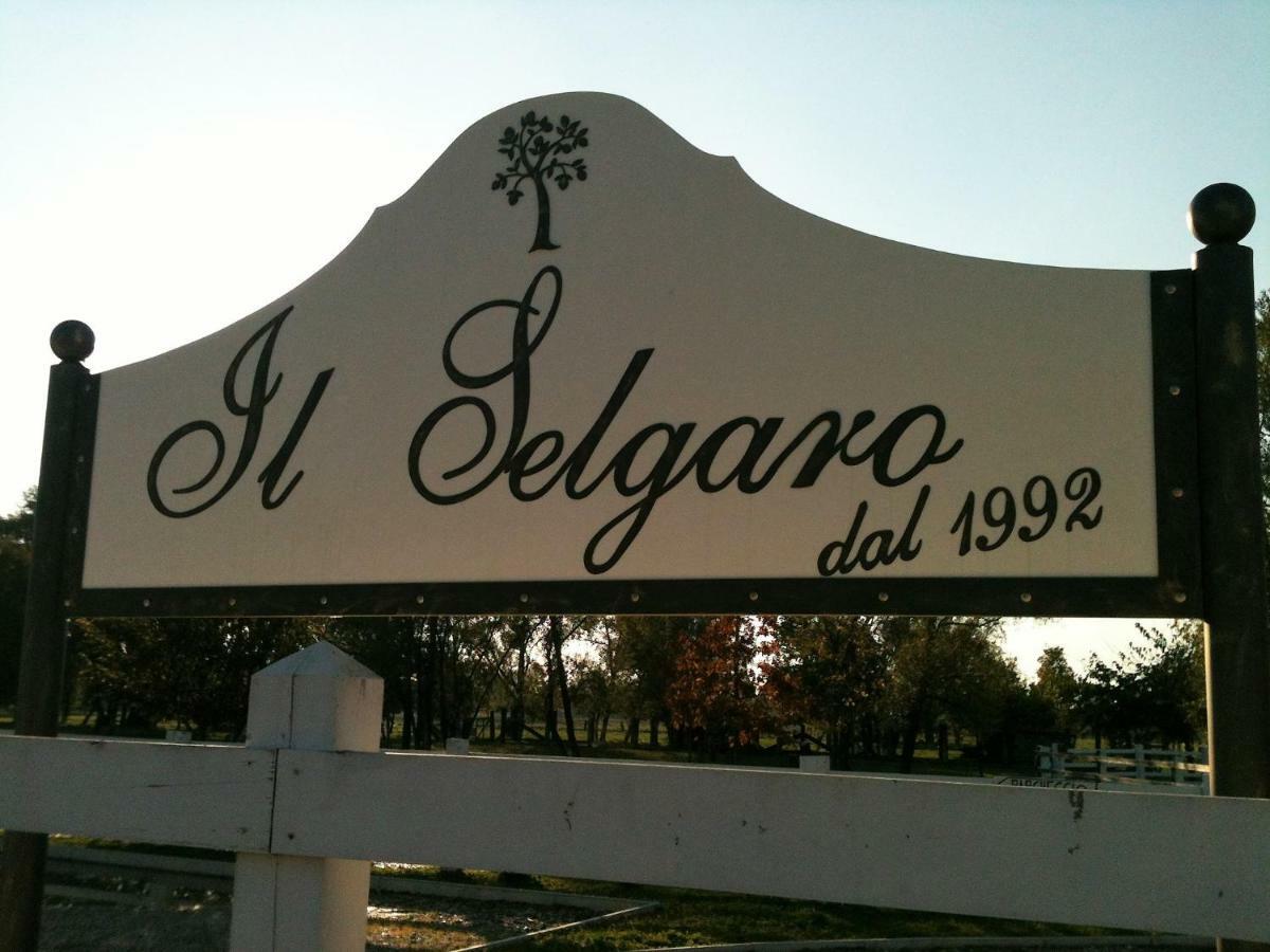 Il Selgaro Agriturismo Hotel Zelarino Екстериор снимка
